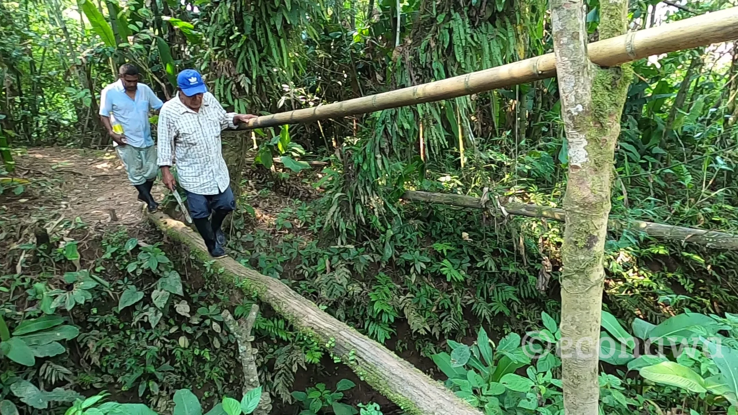 caminando por el territorio de Econawa