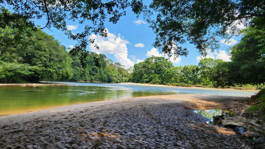 Rio vides en econawa Putumayo Colombia