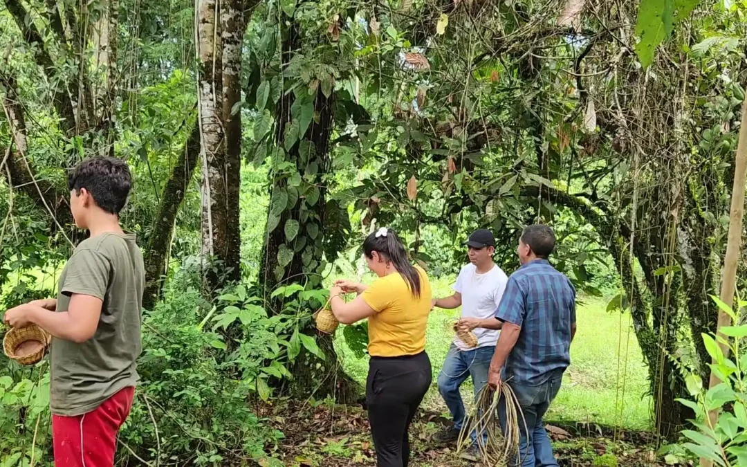 ¿Que llevar a un viaje al Putumayo?