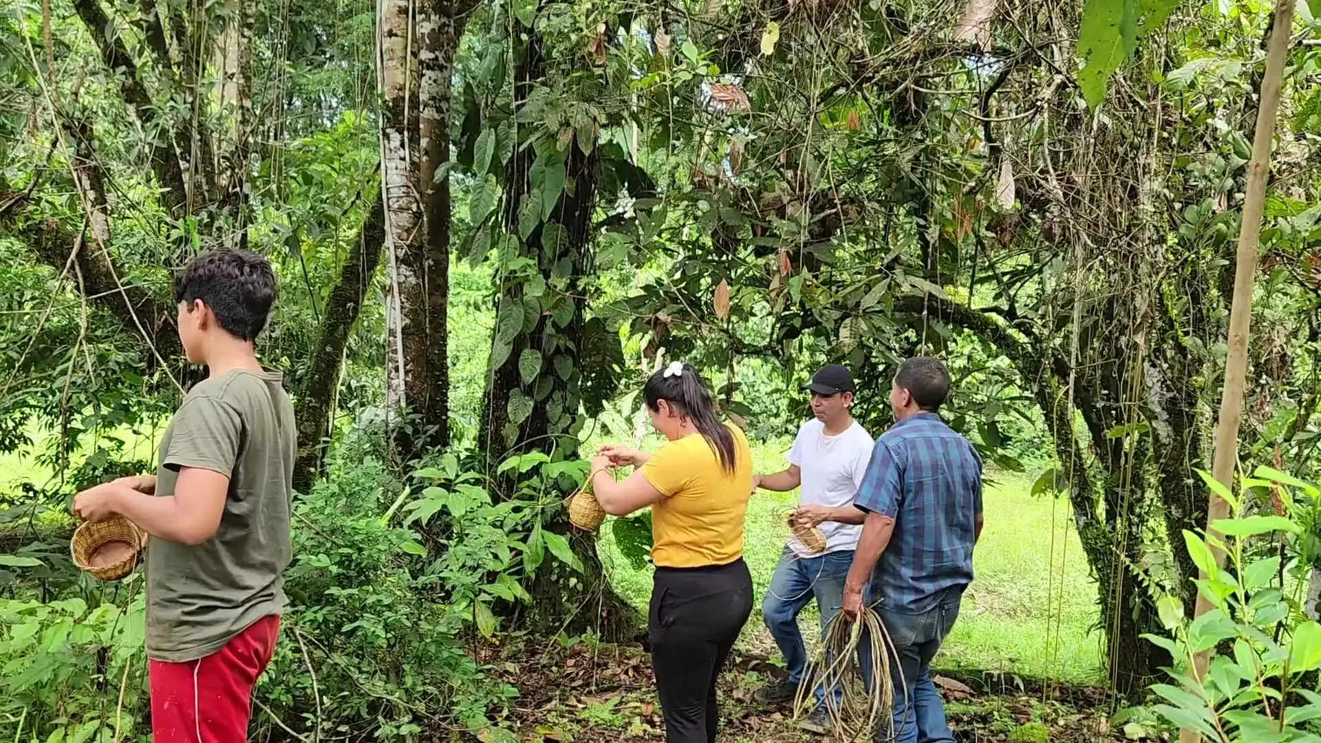 Recorrido de senderismo en la selva amazónica del Putumayo con visitantes en Econawa