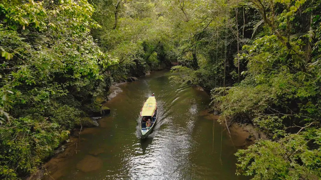Río San Juan rodeado de selva amazónica en Putumayo durante recorrido turístico en Econawa