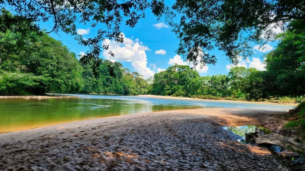 Vista panorámica del Río Vides, la esencia natural detrás de los productos de Econawa y es la mejor época para viajar al Putumayo 
