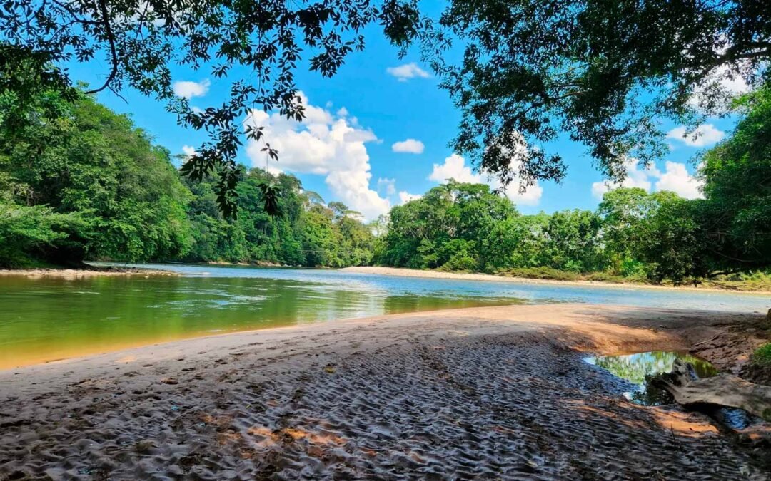 Vista panorámica del Río Vides, la esencia natural detrás de los productos de Econawa y es la mejor época para viajar al Putumayo
