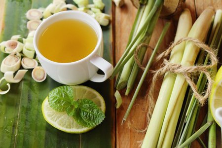 Planta medicinal en Putumayo, te de limoncillo