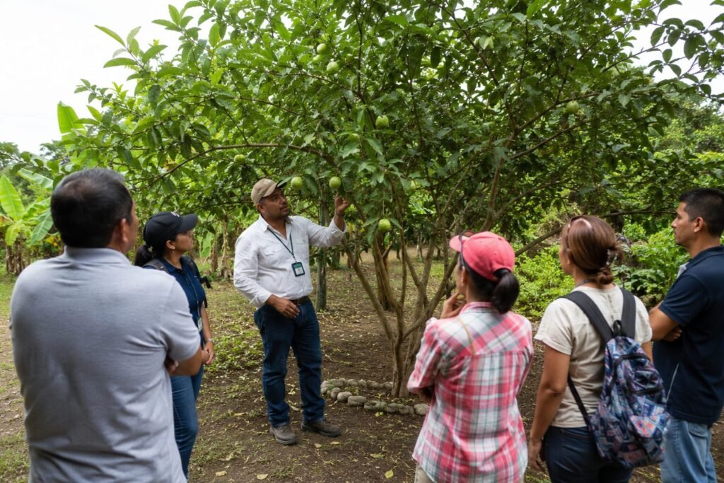 Compartiendo conocimientos sobre el árbol guayabo en Putumayo